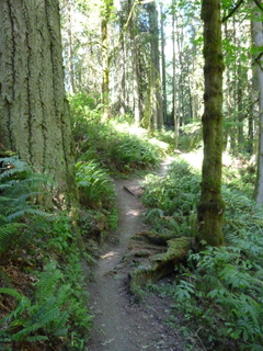 Filename=P1090031.JPG
Filesize=5054KiB
Dimensions=3240x4320
Date added=Aug 26, 2020 P1090031.JPG