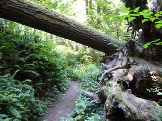 Filename=P1090034.JPG
Filesize=5955KiB
Dimensions=4320x3240
Date added=Aug 26, 2020 P1090034.JPG