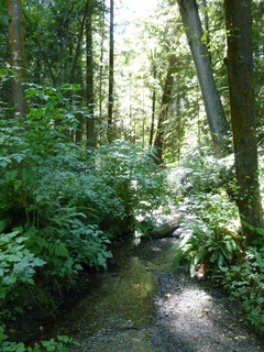 Filename=P1090038.JPG
Filesize=4578KiB
Dimensions=3240x4320
Date added=Aug 26, 2020 P1090038.JPG