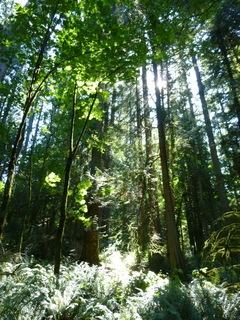 Filename=P1090043.JPG
Filesize=4866KiB
Dimensions=3240x4320
Date added=Aug 26, 2020 P1090043.JPG