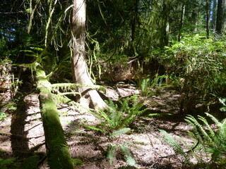 Filename=P1090047.JPG
Filesize=5914KiB
Dimensions=4320x3240
Date added=Aug 26, 2020 P1090047.JPG