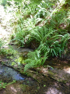 Filename=P1090055.JPG
Filesize=5017KiB
Dimensions=3240x4320
Date added=Sep 02, 2020 P1090055.JPG