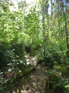 Filename=P1090060.JPG
Filesize=4832KiB
Dimensions=3240x4320
Date added=Sep 02, 2020 P1090060.JPG