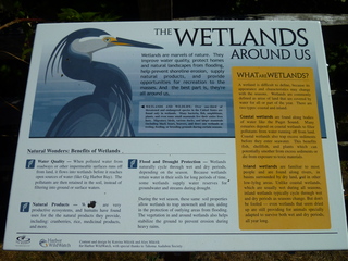 Filename=P1090064.JPG
Filesize=5724KiB
Dimensions=4320x3240
Date added=Sep 02, 2020 P1090064.JPG