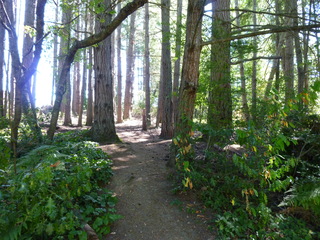 Filename=P1090066.JPG
Filesize=5503KiB
Dimensions=4320x3240
Date added=Sep 02, 2020 P1090066.JPG