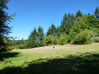 Filename=P1090067.JPG
Filesize=5388KiB
Dimensions=4320x3240
Date added=Sep 02, 2020 P1090067.JPG