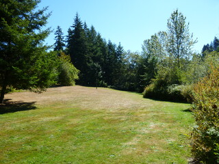 Filename=P1090071.JPG
Filesize=5560KiB
Dimensions=4320x3240
Date added=Sep 02, 2020 P1090071.JPG