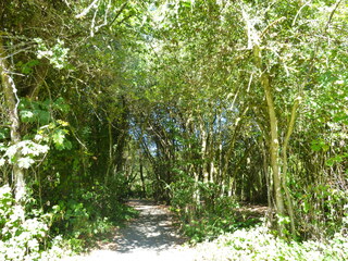 Filename=P1090075.JPG
Filesize=5923KiB
Dimensions=4320x3240
Date added=Sep 02, 2020 P1090075.JPG