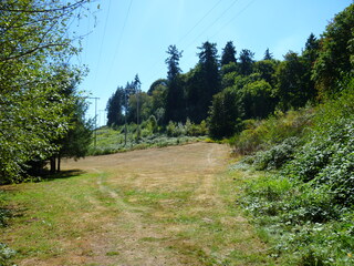 Filename=P1090076.JPG
Filesize=5462KiB
Dimensions=4320x3240
Date added=Sep 02, 2020 P1090076.JPG