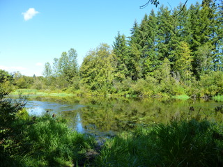 Filename=P1090077.JPG
Filesize=5690KiB
Dimensions=4320x3240
Date added=Sep 02, 2020 P1090077.JPG