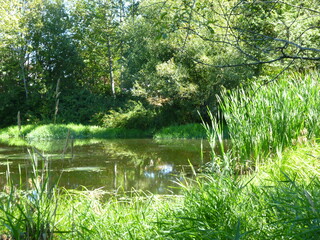 Filename=P1090082.JPG
Filesize=6022KiB
Dimensions=4320x3240
Date added=Sep 02, 2020 P1090082.JPG