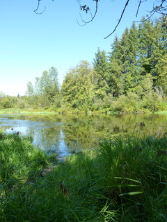 Filename=P1090085.JPG
Filesize=4656KiB
Dimensions=3240x4320
Date added=Sep 02, 2020 P1090085.JPG