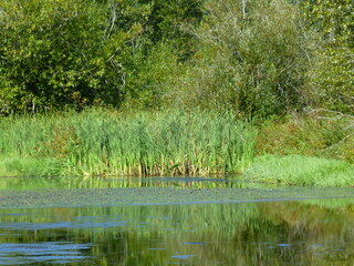 Filename=P1090086.JPG
Filesize=5455KiB
Dimensions=4320x3240
Date added=Sep 02, 2020 P1090086.JPG