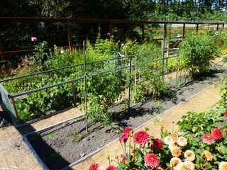 Filename=P1090094.JPG
Filesize=5844KiB
Dimensions=4320x3240
Date added=Sep 02, 2020 P1090094.JPG