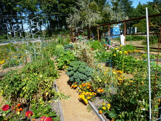 Filename=P1090096.JPG
Filesize=5898KiB
Dimensions=4320x3240
Date added=Sep 02, 2020 P1090096.JPG