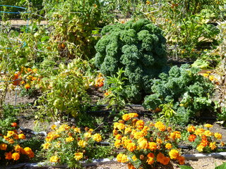 Filename=P1090097.JPG
Filesize=5996KiB
Dimensions=4320x3240
Date added=Sep 02, 2020 P1090097.JPG