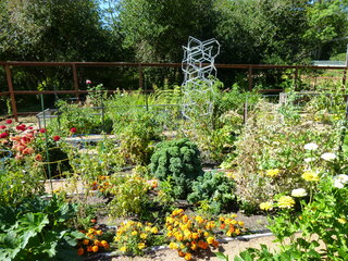 Filename=P1090098.JPG
Filesize=6103KiB
Dimensions=4320x3240
Date added=Sep 02, 2020 P1090098.JPG