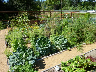 Filename=P1090099.JPG
Filesize=5819KiB
Dimensions=4320x3240
Date added=Sep 02, 2020 P1090099.JPG