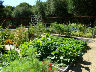 Filename=P1090100.JPG
Filesize=5918KiB
Dimensions=4320x3240
Date added=Sep 02, 2020 P1090100.JPG