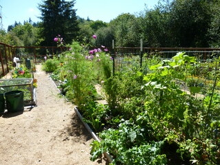 Filename=P1090102.JPG
Filesize=5574KiB
Dimensions=4320x3240
Date added=Sep 02, 2020 P1090102.JPG