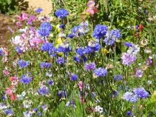 Filename=P1090106.JPG
Filesize=6007KiB
Dimensions=4320x3240
Date added=Sep 02, 2020 P1090106.JPG