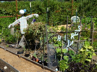 Filename=P1090107.JPG
Filesize=5678KiB
Dimensions=4320x3240
Date added=Sep 02, 2020 P1090107.JPG