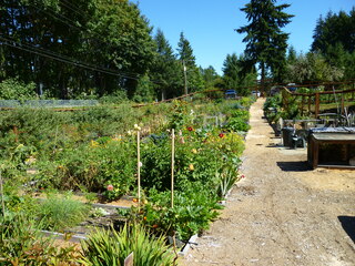 Filename=P1090115.JPG
Filesize=5852KiB
Dimensions=4320x3240
Date added=Sep 02, 2020 P1090115.JPG