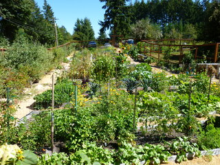 Filename=P1090119.JPG
Filesize=5982KiB
Dimensions=4320x3240
Date added=Sep 02, 2020 P1090119.JPG