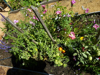 Filename=P1090120.JPG
Filesize=5850KiB
Dimensions=4320x3240
Date added=Sep 02, 2020 P1090120.JPG