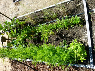 Filename=P1090122.JPG
Filesize=5875KiB
Dimensions=4320x3240
Date added=Sep 02, 2020 P1090122.JPG