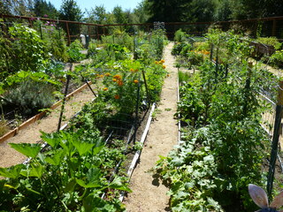 Filename=P1090123.JPG
Filesize=5714KiB
Dimensions=4320x3240
Date added=Sep 02, 2020 P1090123.JPG