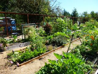 Filename=P1090124.JPG
Filesize=5771KiB
Dimensions=4320x3240
Date added=Sep 02, 2020 P1090124.JPG