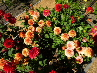 Filename=P1090125.JPG
Filesize=5590KiB
Dimensions=4320x3240
Date added=Sep 02, 2020 P1090125.JPG