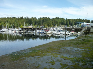 Filename=P1090134.JPG
Filesize=5640KiB
Dimensions=4320x3240
Date added=Sep 28, 2020 P1090134.JPG