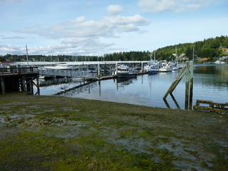 Filename=P1090136.JPG
Filesize=5587KiB
Dimensions=4320x3240
Date added=Sep 28, 2020 P1090136.JPG