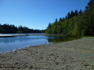 Filename=P1090142.JPG
Filesize=5554KiB
Dimensions=4320x3240
Date added=Sep 28, 2020 P1090142.JPG