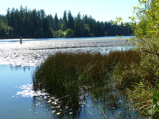 Filename=P1090150.JPG
Filesize=5780KiB
Dimensions=4320x3240
Date added=Sep 28, 2020 P1090150.JPG