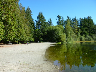 Filename=P1090152.JPG
Filesize=5399KiB
Dimensions=4320x3240
Date added=Sep 28, 2020 P1090152.JPG