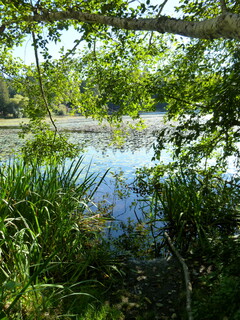 Filename=P1090156.JPG
Filesize=4884KiB
Dimensions=3240x4320
Date added=Sep 28, 2020 P1090156.JPG