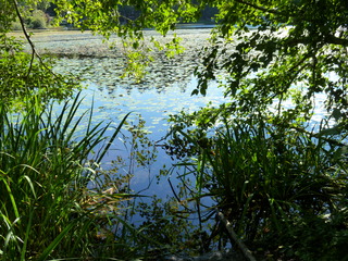 Filename=P1090158.JPG
Filesize=5825KiB
Dimensions=4320x3240
Date added=Sep 28, 2020 P1090158.JPG