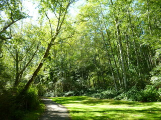 Filename=P1090159.JPG
Filesize=5873KiB
Dimensions=4320x3240
Date added=Sep 28, 2020 P1090159.JPG