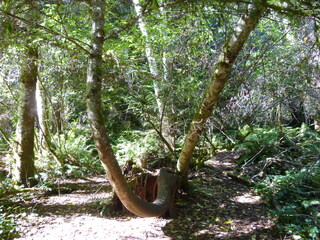 Filename=P1090161.JPG
Filesize=5661KiB
Dimensions=4320x3240
Date added=Sep 28, 2020 P1090161.JPG