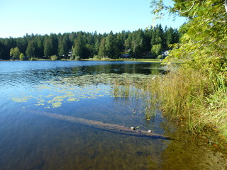 Filename=P1090164.JPG
Filesize=5436KiB
Dimensions=4320x3240
Date added=Sep 28, 2020 P1090164.JPG