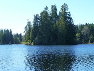 Filename=P1090167.JPG
Filesize=5952KiB
Dimensions=4320x3240
Date added=Sep 28, 2020 P1090167.JPG