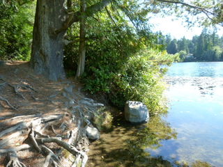 Filename=P1090178.JPG
Filesize=5581KiB
Dimensions=4320x3240
Date added=Sep 28, 2020 P1090178.JPG