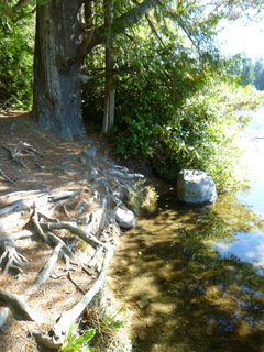 Filename=P1090179.JPG
Filesize=4683KiB
Dimensions=3240x4320
Date added=Sep 28, 2020 P1090179.JPG