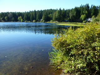 Filename=P1090181.JPG
Filesize=5539KiB
Dimensions=4320x3240
Date added=Sep 28, 2020 P1090181.JPG