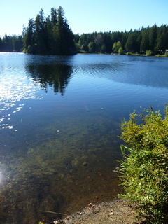 Filename=P1090182.JPG
Filesize=4825KiB
Dimensions=3240x4320
Date added=Sep 28, 2020 P1090182.JPG