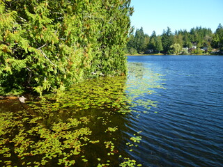 Filename=P1090184.JPG
Filesize=5782KiB
Dimensions=4320x3240
Date added=Sep 28, 2020 P1090184.JPG