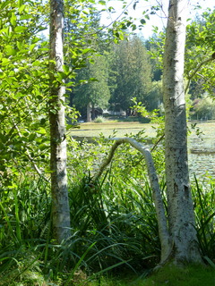 Filename=P1090200.JPG
Filesize=4928KiB
Dimensions=3240x4320
Date added=Sep 28, 2020 P1090200.JPG